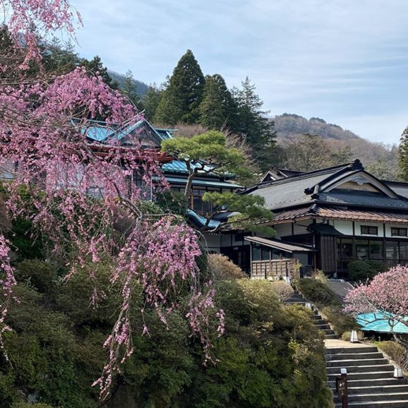 箱根小涌園三河屋旅館